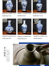 Load image into Gallery viewer, Ceramics Under-glazed Blue and white Porcelain Vase